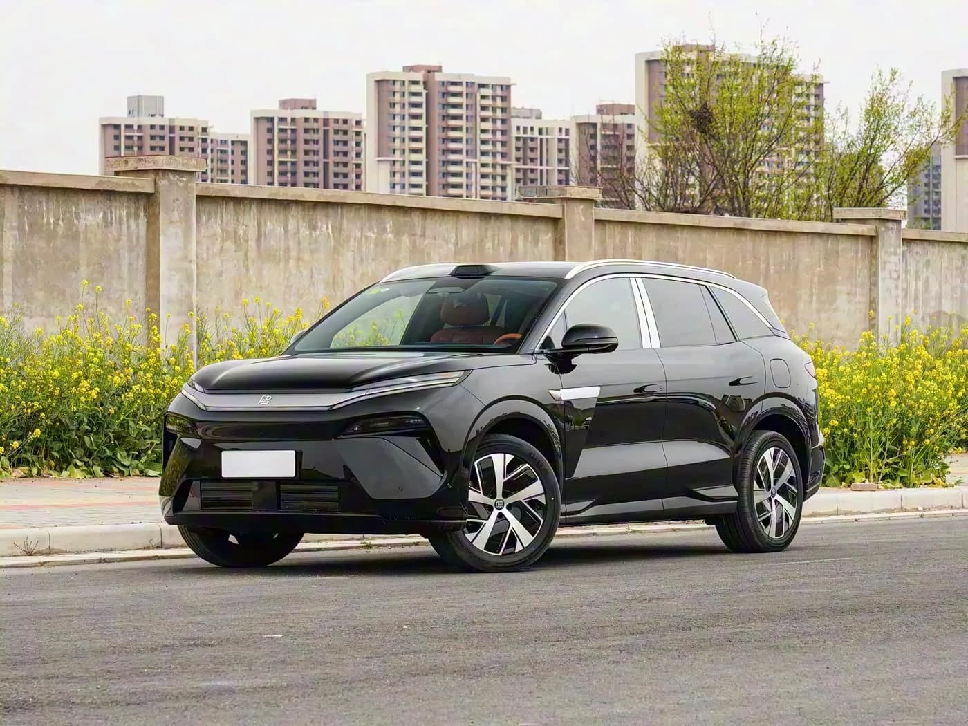 BYD Tang L
